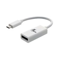 Xtech Adapter Display Port Female to USB-C Male White