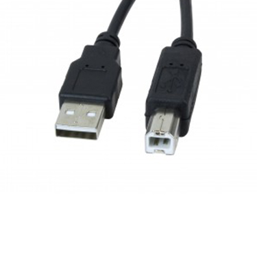 Xtech Printer Cable USB-A Male to USB-B Male 10ft - Black