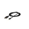StarTech Cable Mini DisplayPort Male to DisplayPort Male 3ft - Black